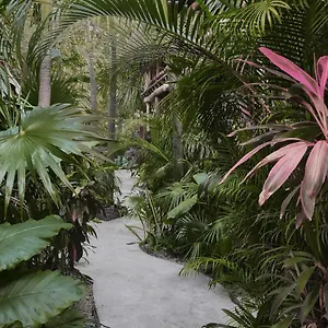 Отель Boutique Terranova, Тулум